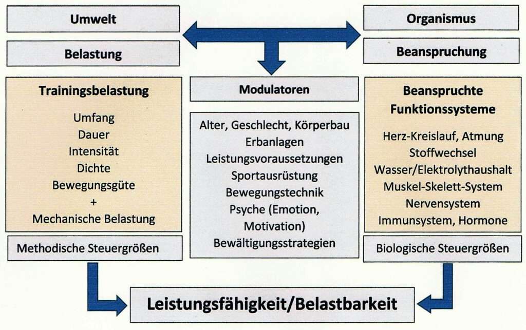 Belastungs-Beanspruchungs-Interaktion 1 Schwimmlexikon-Belastungs Beanspruchungs Interaktion
