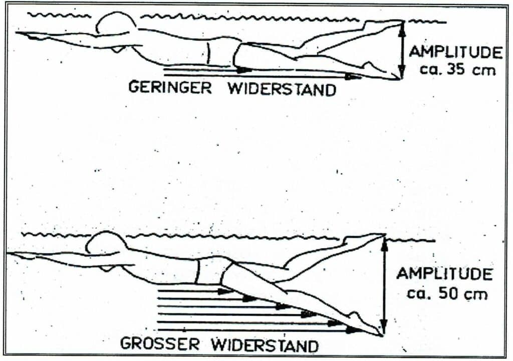 Schwimmlexikon-Bewegungsamplitude