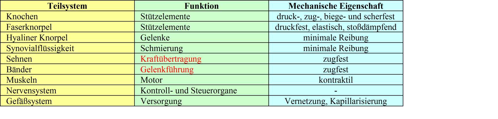 Schwimmlexikon-Bewegungsapparat