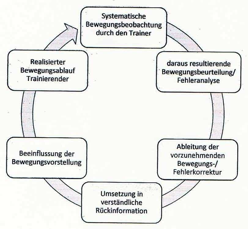 Schwimmlexikon-Bewegungsbeobachtung