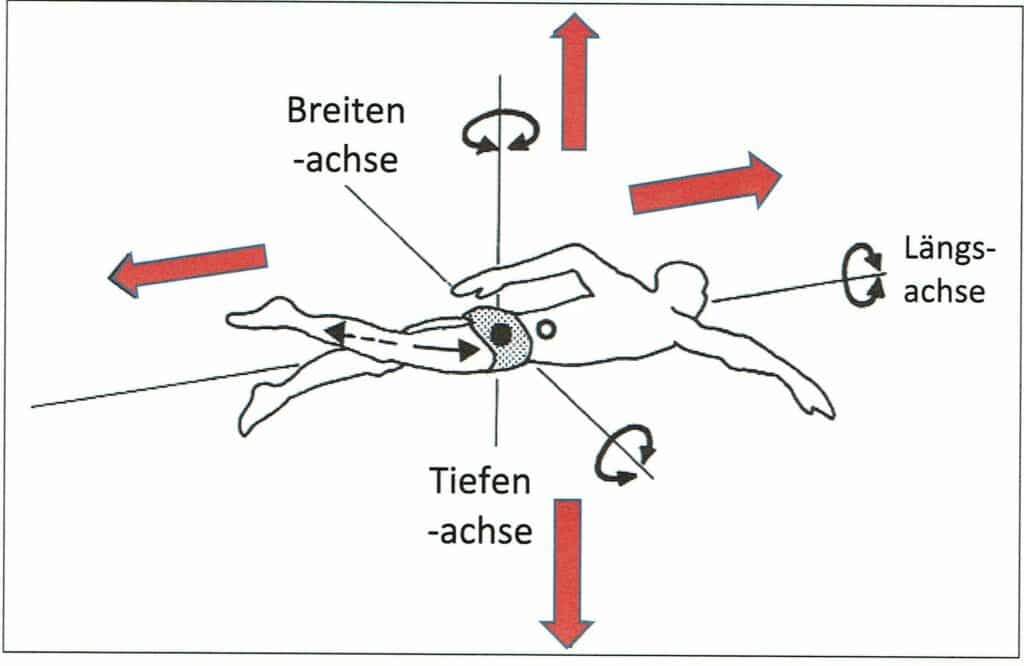 Bewegung 1 Schwimmlexikon-Bewegungsrichtungen Schwimmen