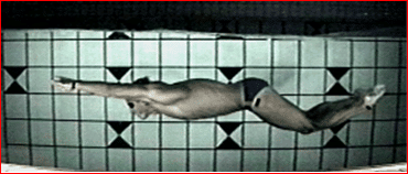 Delfinbewegung 1 Schwimmlexikon-Delfinbewegung