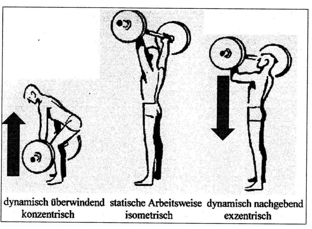 Kontraktionsform 1 Schwimmlexikon-Kontraktionsformen
