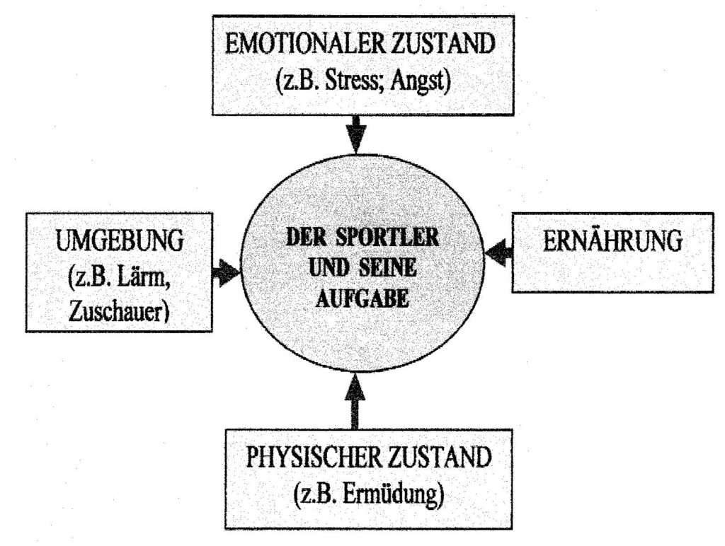 Schwimmlexikon-Konzentration