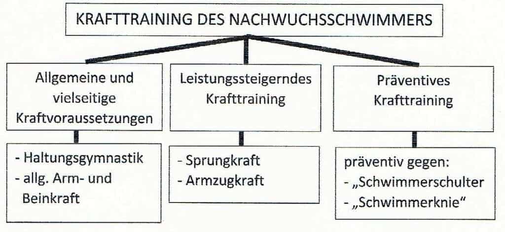 Krafttraining bei Kindern 1 Schwimmlexikon-Krafttraining Nachwuchs