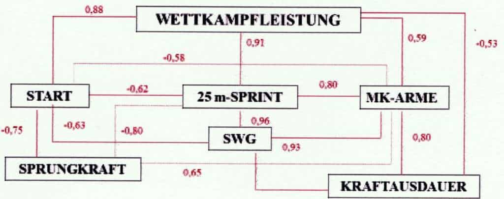 Leistungsstruktur 1 Schwimmlexikon-Leistungsstruktur