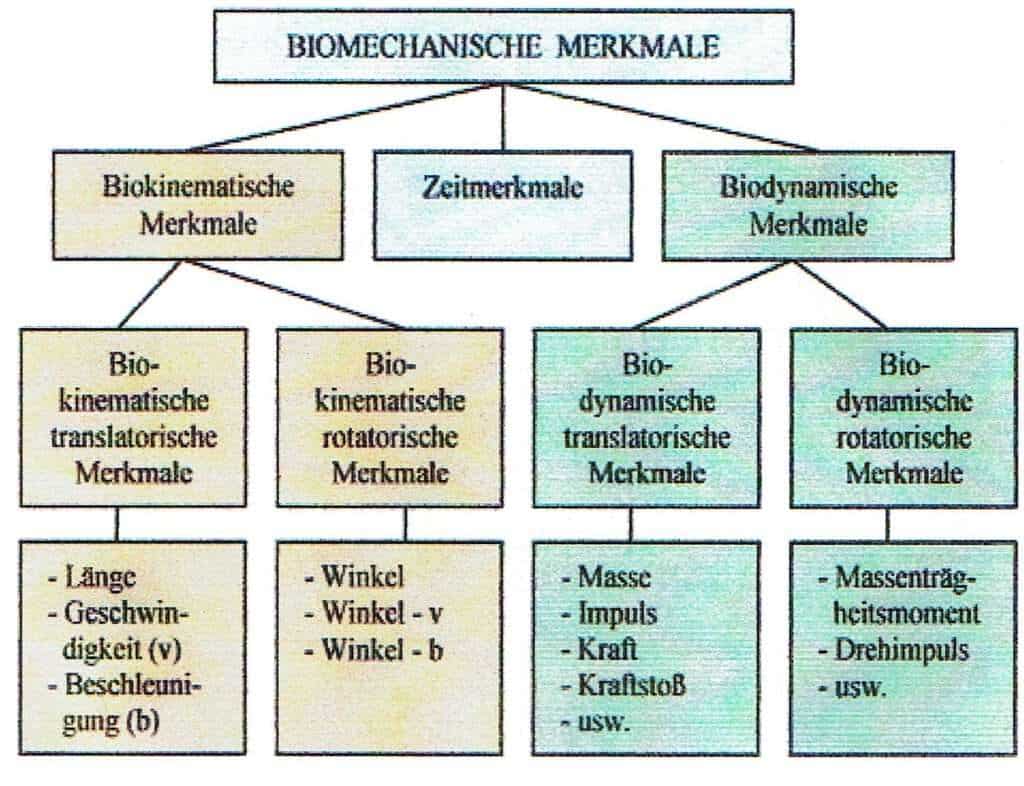 Merkmale, biomechanische 1 Schwimmlexikon-Merkmale biomechanische