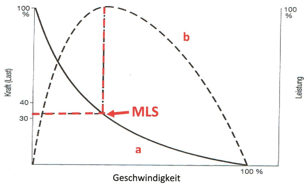 Muskelleistungsschwelle 1 Schwimmlexikon-Muskelleistungsschwelle