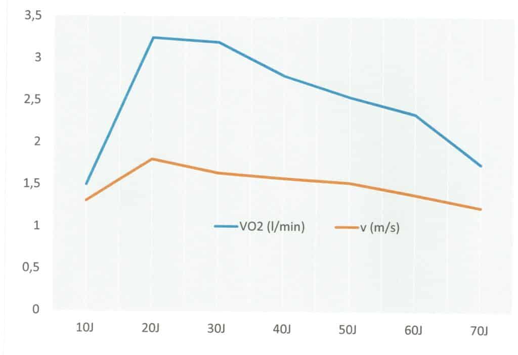 Sauerstoffaufnahme, maximale (VO2max) 1 Schwimmlexikon-Sauerstoffaufnahme