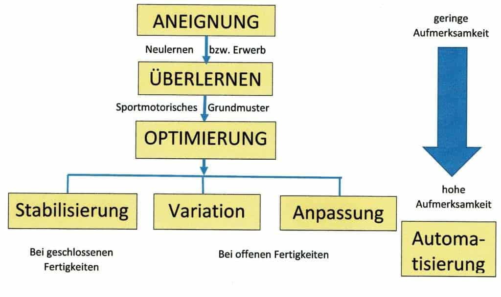Schwimmlexikon-Stabilisierung