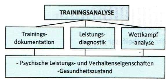 Schwimmlexikon-Trainingsanalyse