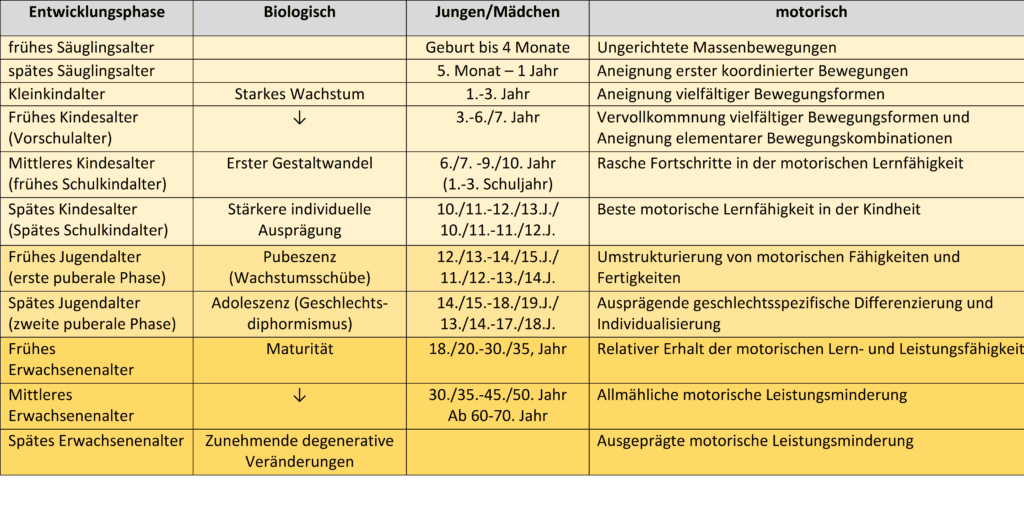Entwicklungsphasen 1 Schwimmlexikon-Entwicklungsphasen