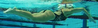 Kippwende 1 Schwimmlexikon-Kipp Abb1 Anschwimmen