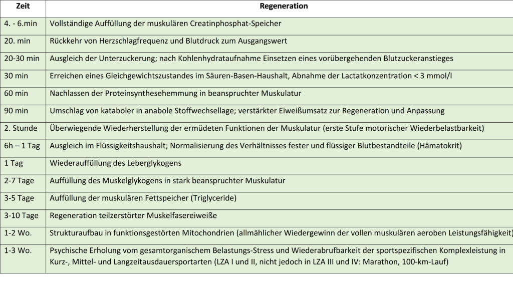 Regenerationszeit 1 Schwimmlexikon-Regenerationszeit