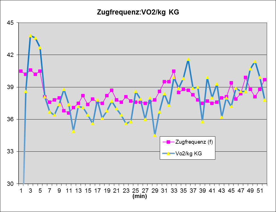Sauerstoffaufnahme (VO2) 1 Schwimmlexikon-Sauerstoffaufnahme Büchse