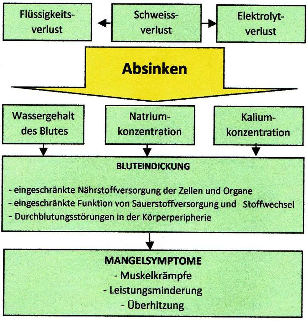Schweiß 1 Schwimmlexikon-Schweiss