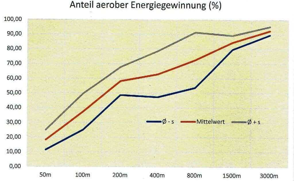 Schwimmlexikon-Aerobe Energiegewinnung
