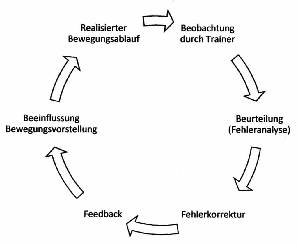 Fehleranalyse 1 Schwimmlexikon-Fehlerkorrektur