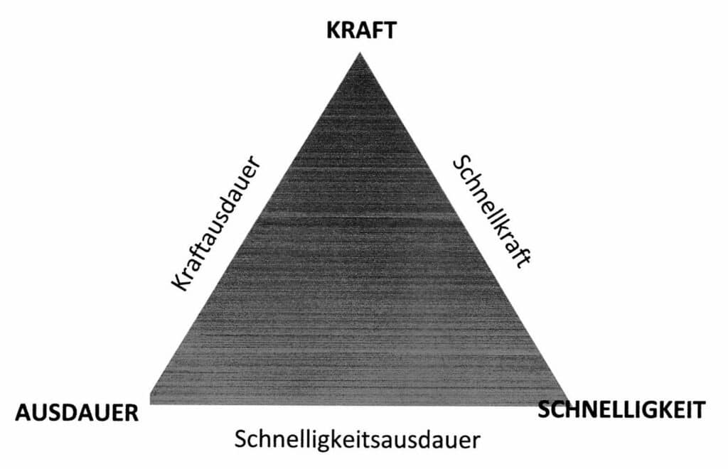 Fähigkeit, konditionelle 1 Schwimmlexikon-Kondition Dreieck 1